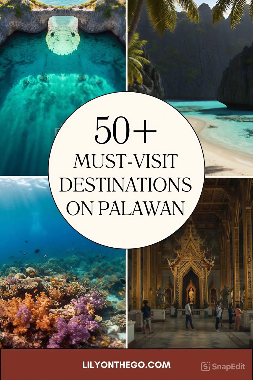 Best Time to Visit Palawan