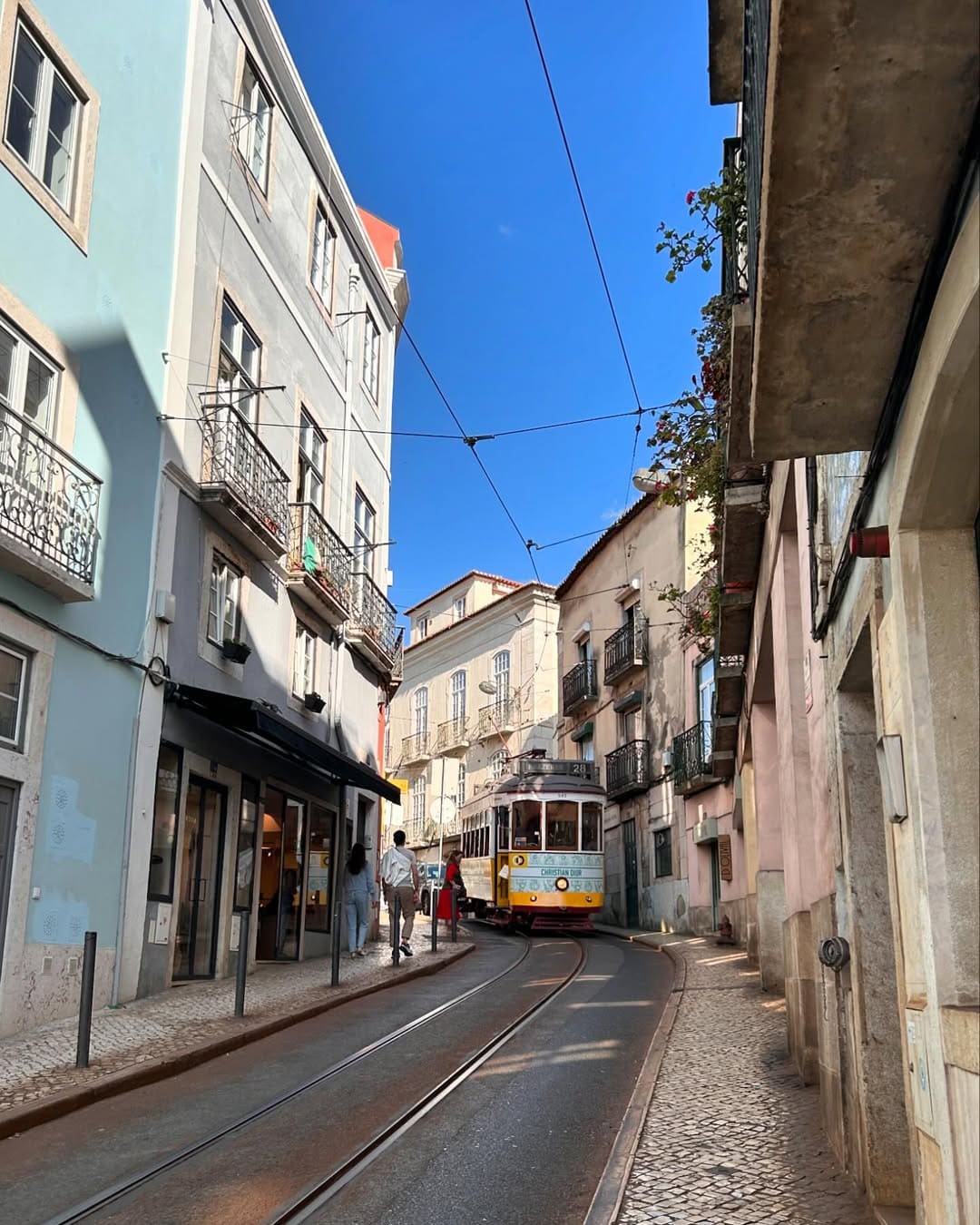 Restaurant in Lisbon Italy