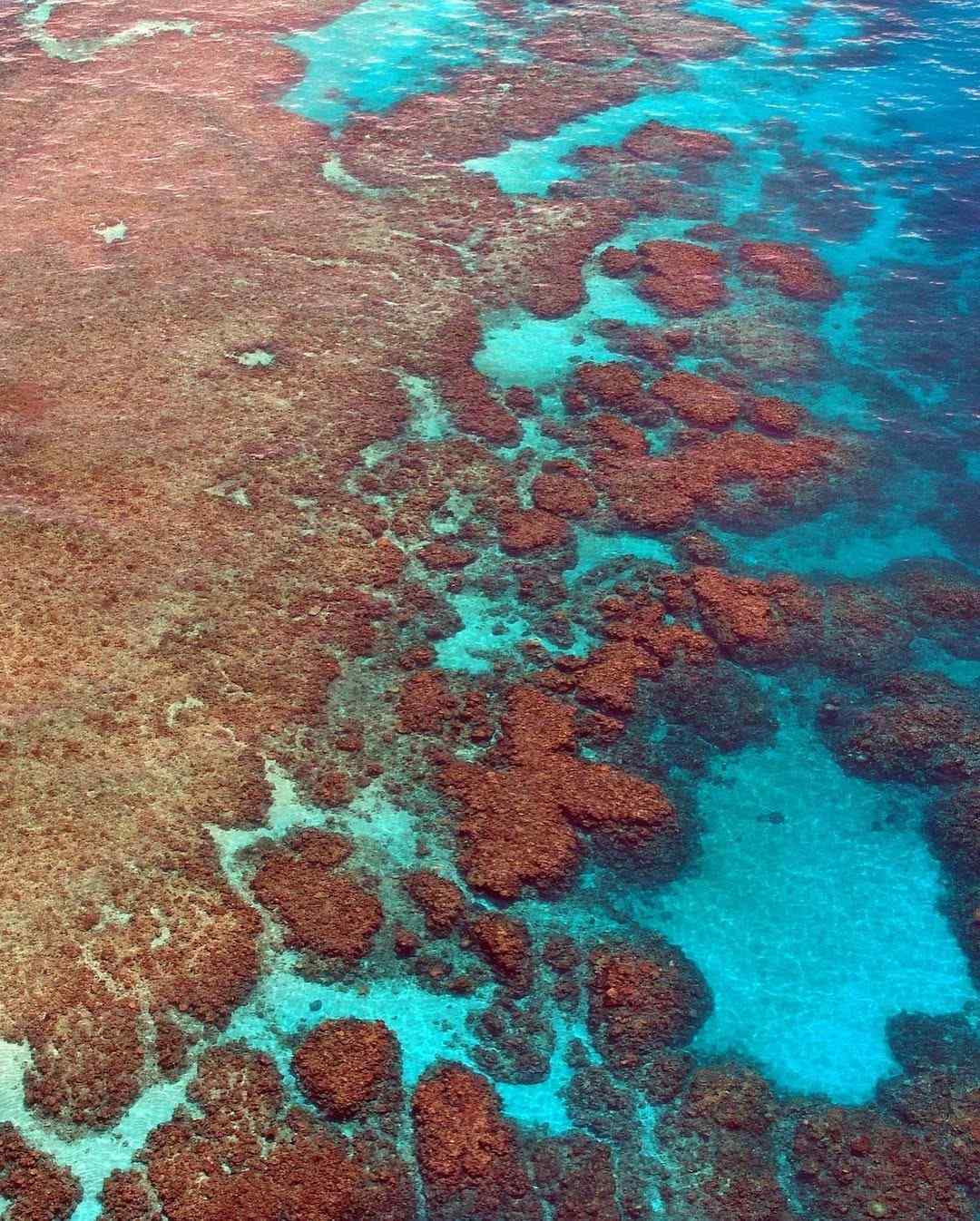 Great-Barrier-Reef