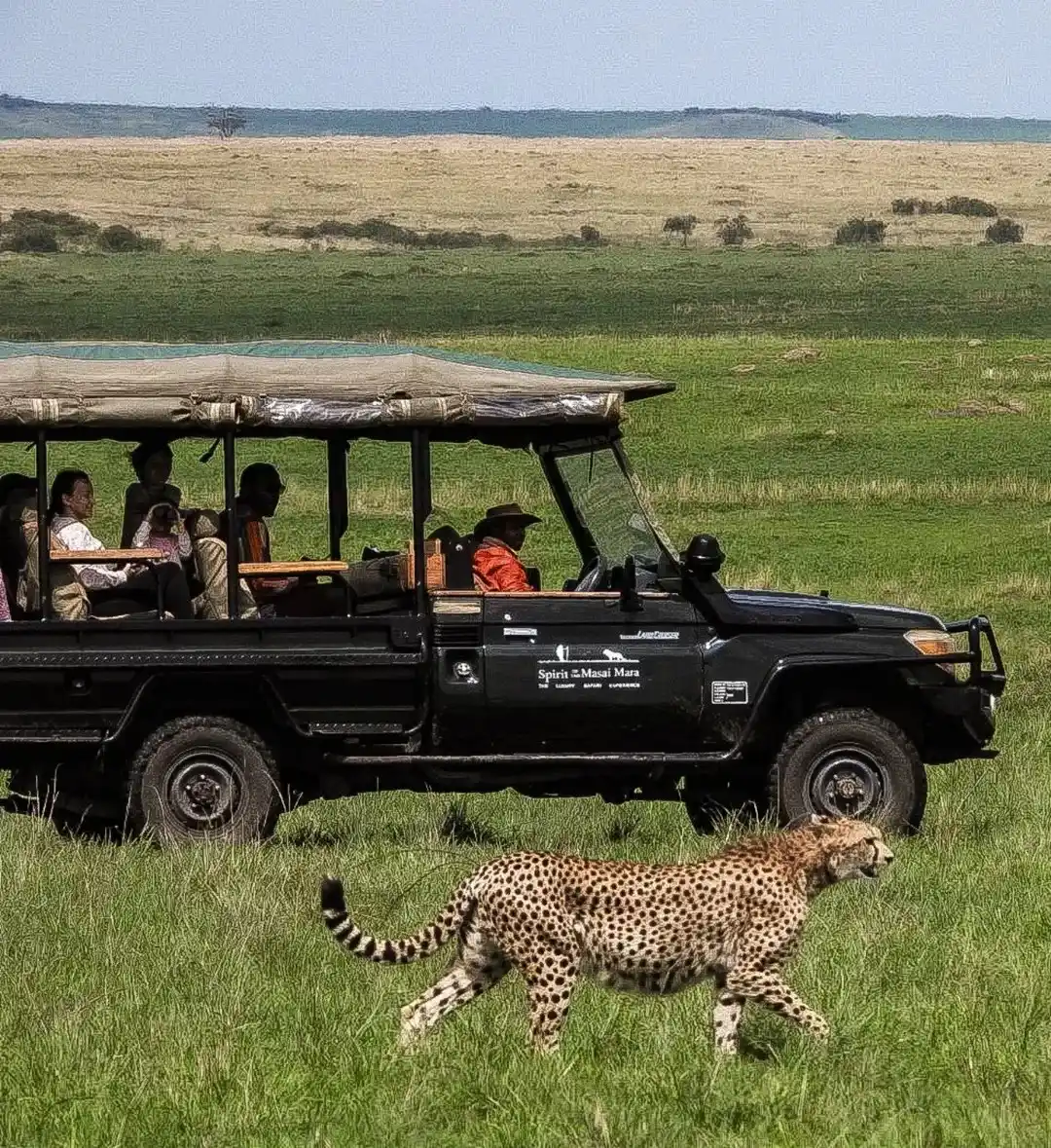 Masai-Mara