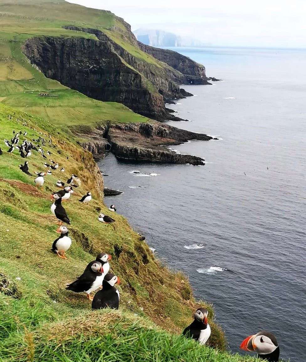 Mykines-Island