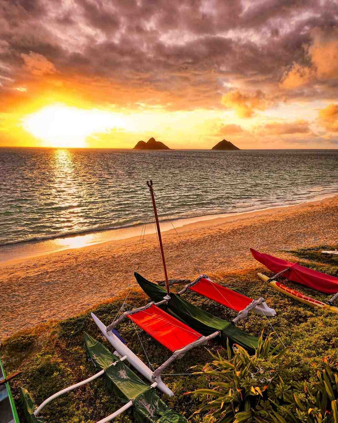 Hawaii Aesthetic Wallpaper