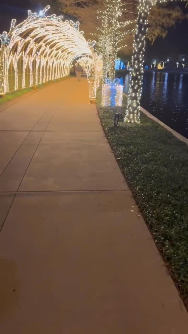 London Christmas Lights Tour