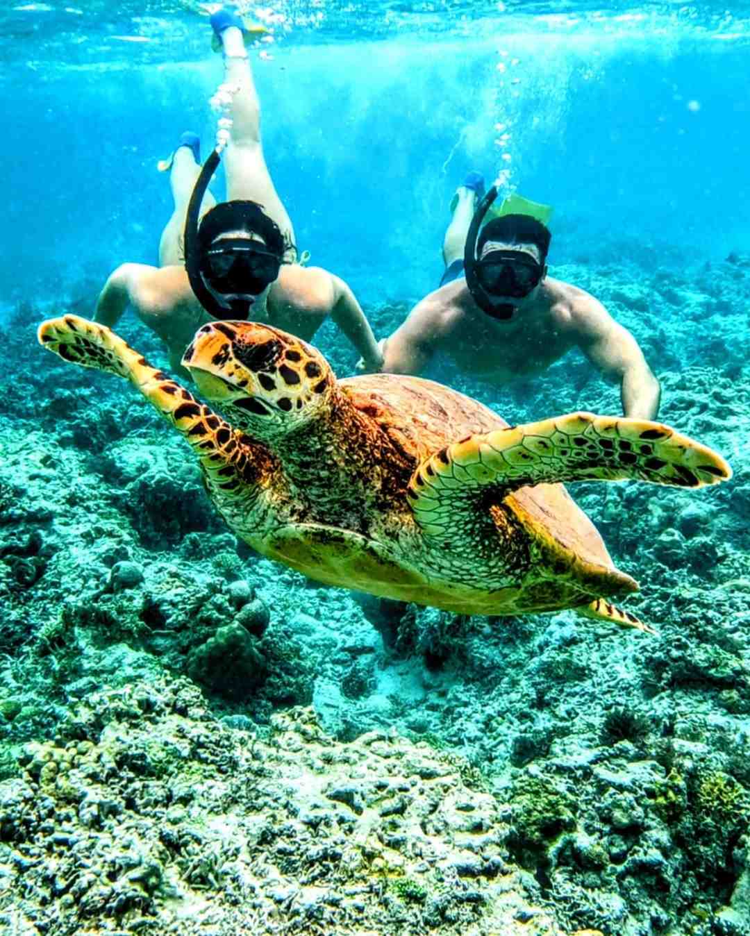 Maldives Couple Photos