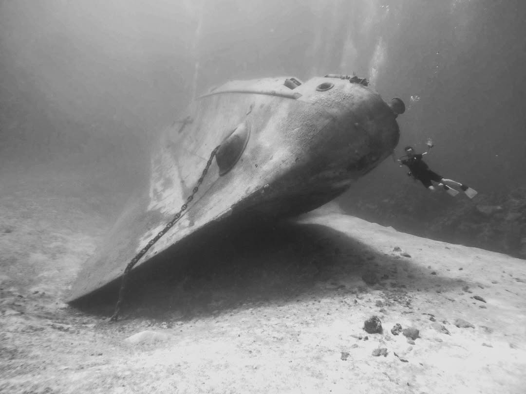 Dive the Kittiwake Shipwreck