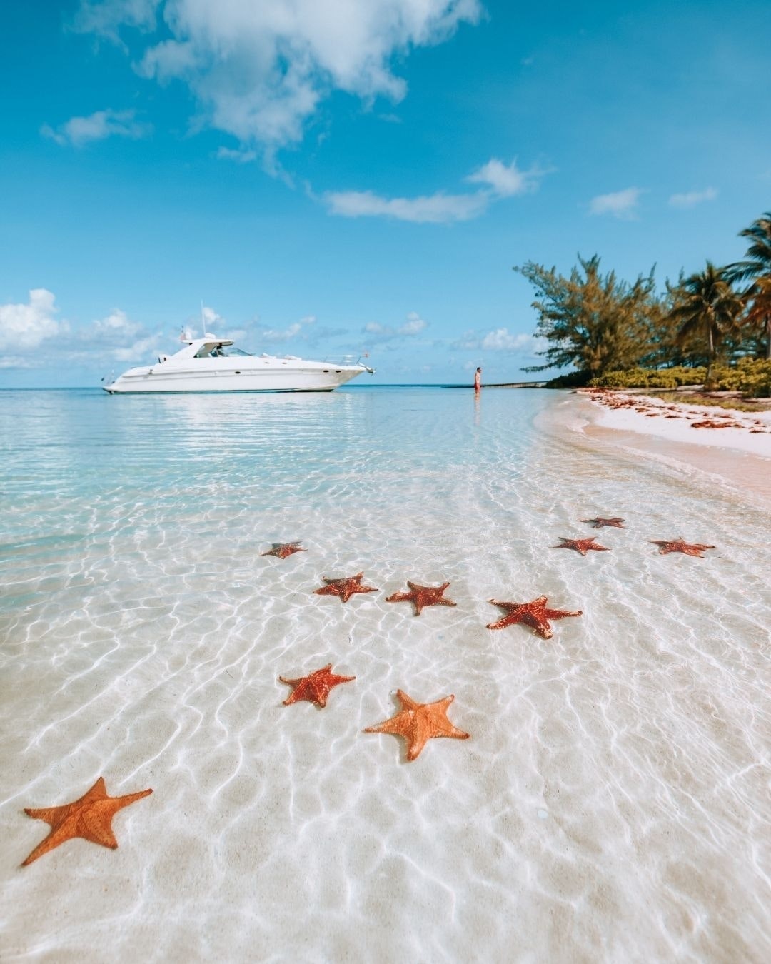 Visit Star fish Point