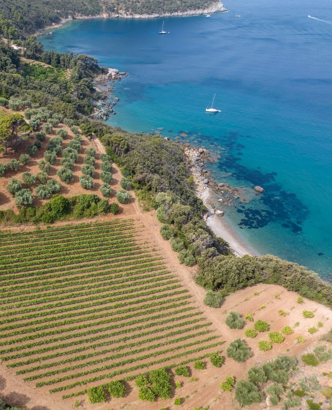 Maremma Natural Park